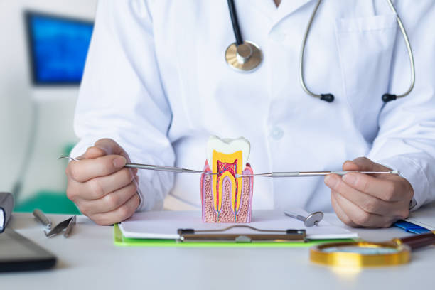 Best Emergency Dental Care for Abscessed Tooth in Presidio, TX